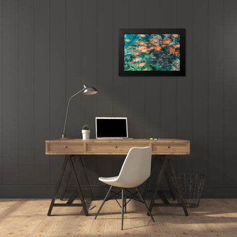 French Polynesia- Moorea. School of soldierfish and coral. Black Modern Wood Framed Art Print by Jaynes Gallery