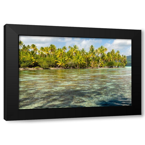 French Polynesia- Tahaa. Ocean corals and tropical forest. Black Modern Wood Framed Art Print by Jaynes Gallery