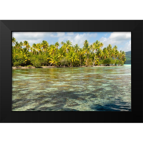 French Polynesia- Tahaa. Ocean corals and tropical forest. Black Modern Wood Framed Art Print by Jaynes Gallery