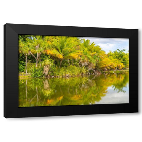 French Polynesia- Tahaa. Tropical lagoon and jungle. Black Modern Wood Framed Art Print by Jaynes Gallery
