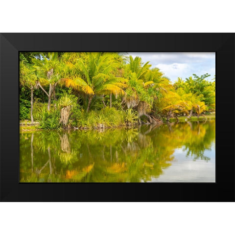 French Polynesia- Tahaa. Tropical lagoon and jungle. Black Modern Wood Framed Art Print by Jaynes Gallery