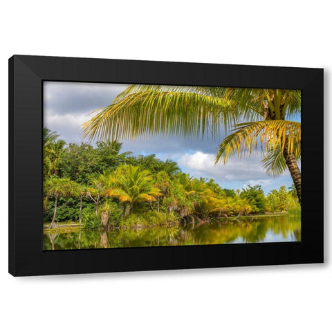 French Polynesia- Tahaa. Tropical lagoon and jungle. Black Modern Wood Framed Art Print by Jaynes Gallery