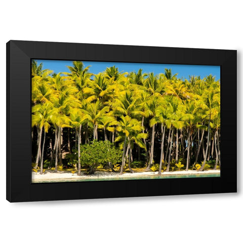 French Polynesia- Bora Bora. Palm trees and beach. Black Modern Wood Framed Art Print by Jaynes Gallery