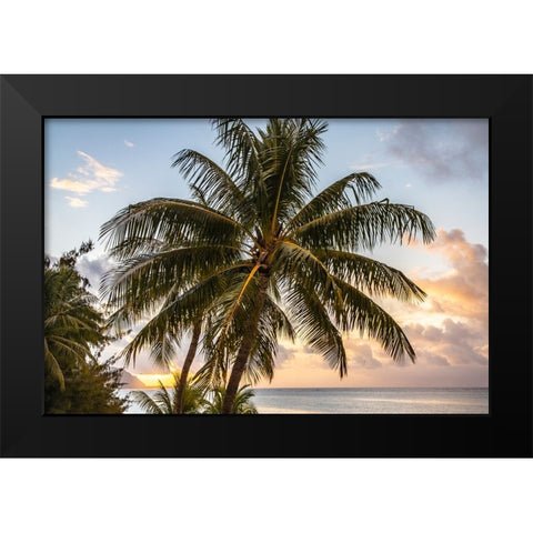 French Polynesia- Moorea. Sunset on island and ocean. Black Modern Wood Framed Art Print by Jaynes Gallery