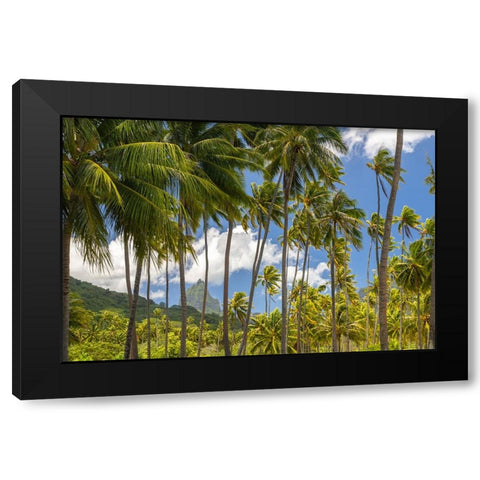 French Polynesia- Moorea. Bali Hai mountain and palm trees. Black Modern Wood Framed Art Print with Double Matting by Jaynes Gallery