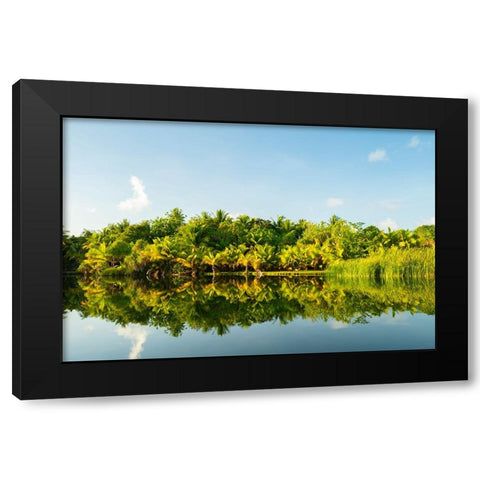 French Polynesia- Tahaa. Tropical jungle reflects in lagoon. Black Modern Wood Framed Art Print by Jaynes Gallery