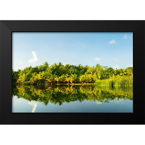 French Polynesia- Tahaa. Tropical jungle reflects in lagoon. Black Modern Wood Framed Art Print by Jaynes Gallery