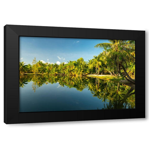 French Polynesia- Tahaa. Tropical jungle reflects in lagoon. Black Modern Wood Framed Art Print by Jaynes Gallery