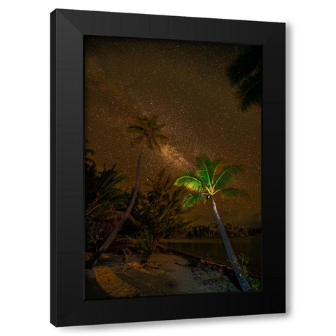 French Polynesia- Tahaa. Palm trees and night sky with Milky Way. Black Modern Wood Framed Art Print by Jaynes Gallery