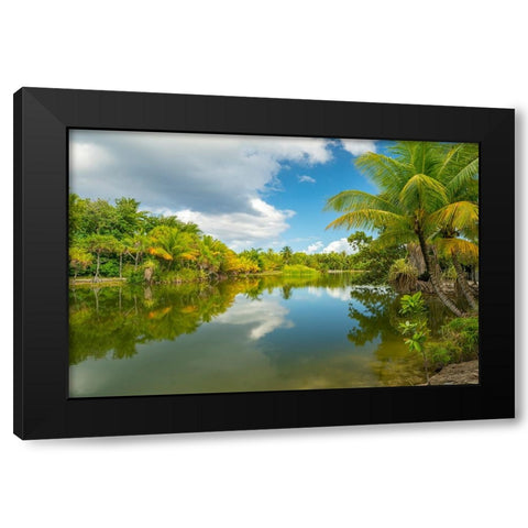 French Polynesia- Tahaa. Tropical jungle reflects in lagoon. Black Modern Wood Framed Art Print with Double Matting by Jaynes Gallery