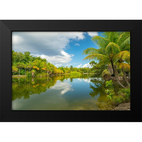 French Polynesia- Tahaa. Tropical jungle reflects in lagoon. Black Modern Wood Framed Art Print by Jaynes Gallery
