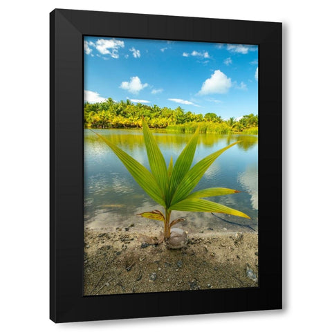 French Polynesia- Tahaa. Tropical jungle reflects in lagoon. Black Modern Wood Framed Art Print with Double Matting by Jaynes Gallery