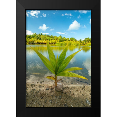 French Polynesia- Tahaa. Tropical jungle reflects in lagoon. Black Modern Wood Framed Art Print by Jaynes Gallery