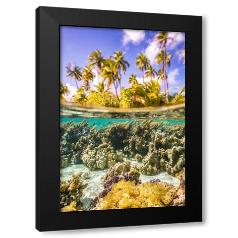 French Polynesia- Tahaa. Under/above water split of coral and palm trees. Black Modern Wood Framed Art Print with Double Matting by Jaynes Gallery