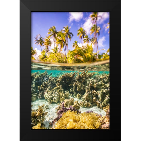 French Polynesia- Tahaa. Under/above water split of coral and palm trees. Black Modern Wood Framed Art Print by Jaynes Gallery