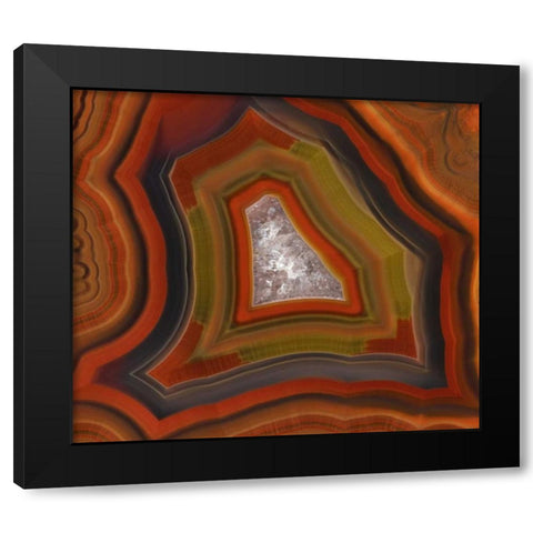 Argentina Close-up of Condor Agate stone Black Modern Wood Framed Art Print by Kirkland, Dennis