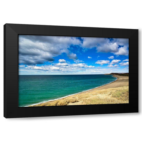 Argentina-Santa Cruz Monte Leon National Park-the only coastal park in Argentina Black Modern Wood Framed Art Print by Molinari, Michele