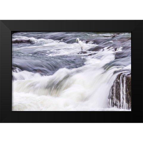 Brazil-Iguazu Falls Landscape of waterfalls  Black Modern Wood Framed Art Print by Jaynes Gallery