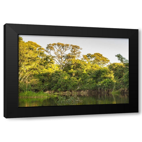Brazil-Pantanal Cuiaba River landscape  Black Modern Wood Framed Art Print with Double Matting by Jaynes Gallery