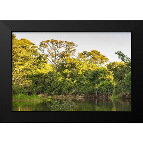 Brazil-Pantanal Cuiaba River landscape  Black Modern Wood Framed Art Print by Jaynes Gallery