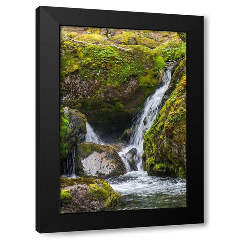 Within Parc Nacional Torres del Paine-there is a tropical rainforest  Black Modern Wood Framed Art Print with Double Matting by Ostrowitz, Mallorie