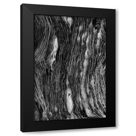 Pattern in dead tree-San Cristobal Island-Galapagos Islands-Ecuador Black Modern Wood Framed Art Print by Jones, Adam