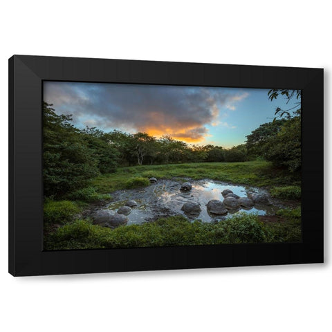 Galapagos giant tortoise gathering in small pond at sunset Genovesa Island-Galapagos Islands Black Modern Wood Framed Art Print by Jones, Adam