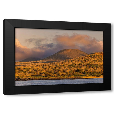 Santiago Island-Galapagos Islands-Ecuador Black Modern Wood Framed Art Print by Jones, Adam