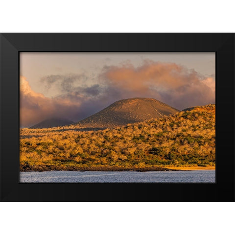 Santiago Island-Galapagos Islands-Ecuador Black Modern Wood Framed Art Print by Jones, Adam