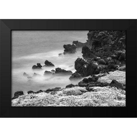 Rocky shoreline covered in Sesuvium-South Plaza Island-Galapagos Islands-Ecuador Black Modern Wood Framed Art Print by Jones, Adam