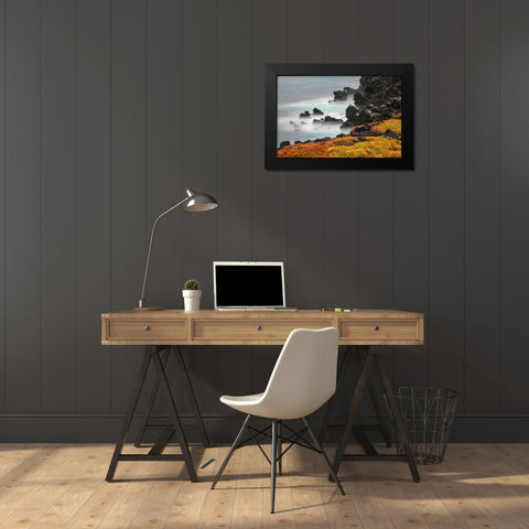 Rocky shoreline covered in Sesuvium-South Plaza Island-Galapagos Islands-Ecuador Black Modern Wood Framed Art Print by Jones, Adam