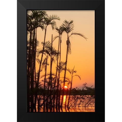 The sun sets at Latitude 0 during this equatorial sunset in the Amazon. Black Modern Wood Framed Art Print by Sederquist, Betty