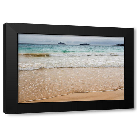 Floreana Island-Galapagos islands-Ecuador Black Modern Wood Framed Art Print with Double Matting by Pitamitz, Sergio