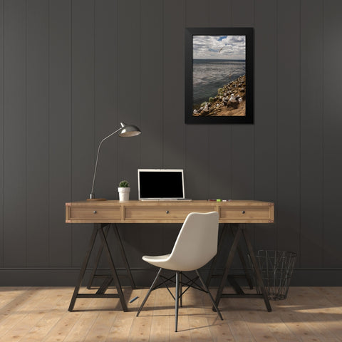 Saunders Island Black-browed albatross colony Black Modern Wood Framed Art Print by Illg, Cathy and Gordon