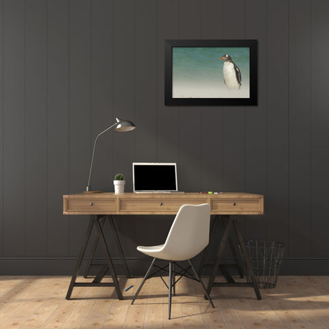 Bleaker Island Gentoo penguin on the beach Black Modern Wood Framed Art Print by Illg, Cathy and Gordon