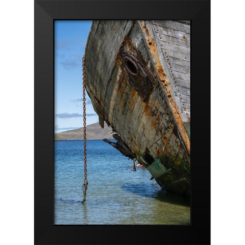 Falkland Islands-New Island Grounded and abandoned ship on shore  Black Modern Wood Framed Art Print by Jaynes Gallery