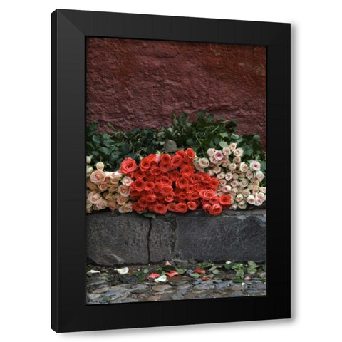 Mexico, San Miguel de Allende, Roses for sale Black Modern Wood Framed Art Print by Rotenberg, Nancy