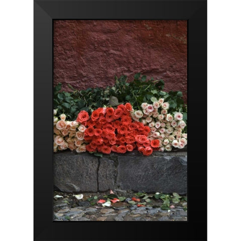 Mexico, San Miguel de Allende, Roses for sale Black Modern Wood Framed Art Print by Rotenberg, Nancy