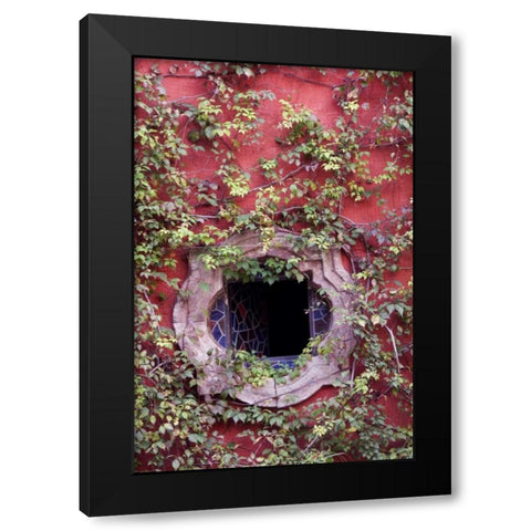 Mexico, Ivy on Stucco Wall with Tile Window Black Modern Wood Framed Art Print with Double Matting by Rotenberg, Nancy