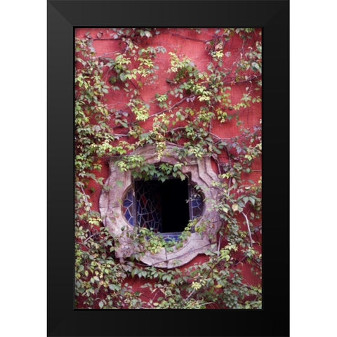 Mexico, Ivy on Stucco Wall with Tile Window Black Modern Wood Framed Art Print by Rotenberg, Nancy