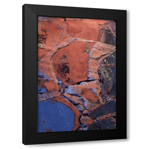 Mexico Patterns on wet cobblestone street Black Modern Wood Framed Art Print by Rotenberg, Nancy