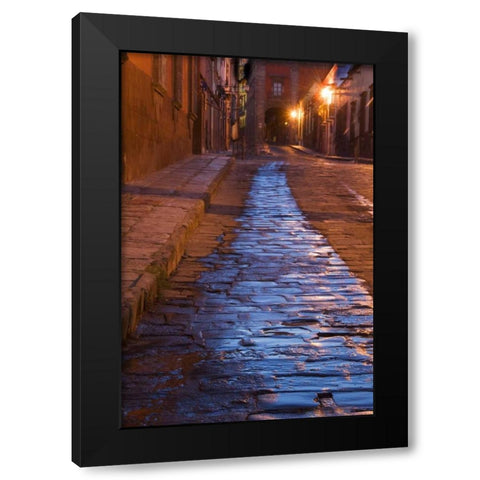 Mexico Streak of water on cobblestone street Black Modern Wood Framed Art Print with Double Matting by Rotenberg, Nancy