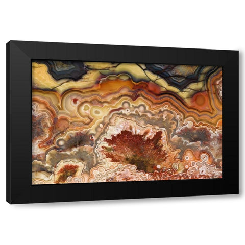 Mexico Close-up of Crazy Lace Agate stone Black Modern Wood Framed Art Print by Kirkland, Dennis