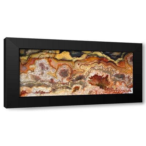 Mexico Close-up of Crazy Lace Agate stone Black Modern Wood Framed Art Print by Kirkland, Dennis