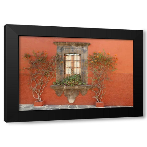 Mexico, San Miguel de Allende Window and plants Black Modern Wood Framed Art Print by Paulson, Don