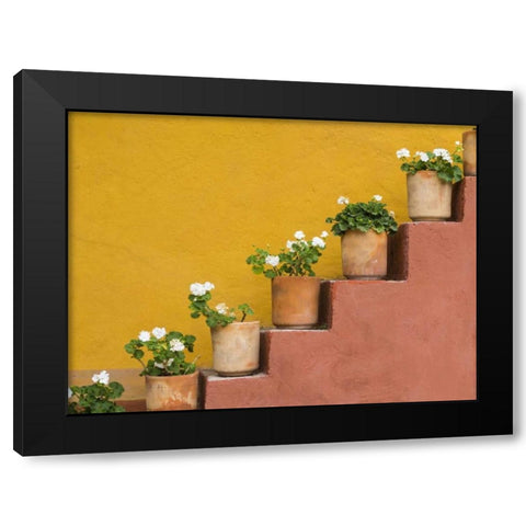 Mexico Potted flowers on staircase Black Modern Wood Framed Art Print by Paulson, Don