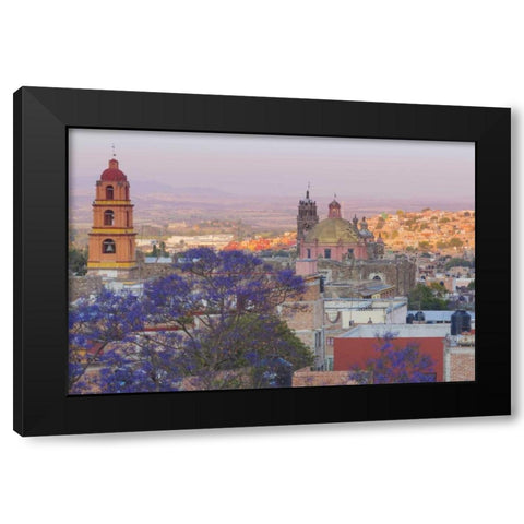 Mexico, San Miguel de Allende Jacaranda and city Black Modern Wood Framed Art Print with Double Matting by Paulson, Don