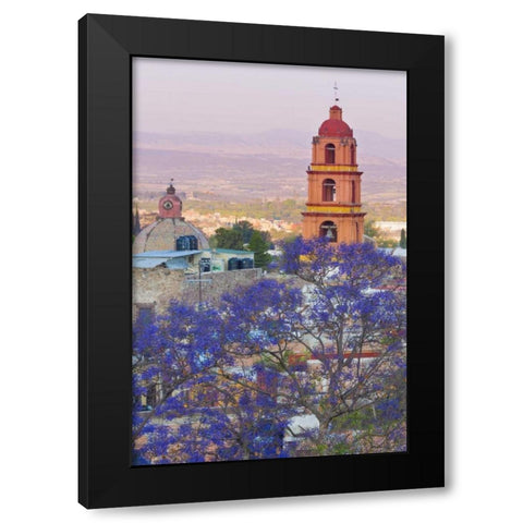 Mexico, San Miguel de Allende Jacaranda and city Black Modern Wood Framed Art Print with Double Matting by Paulson, Don