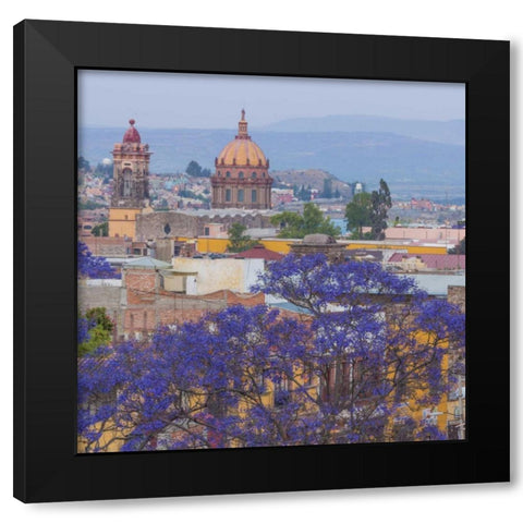 Mexico, San Miguel de Allende Jacaranda and city Black Modern Wood Framed Art Print with Double Matting by Paulson, Don