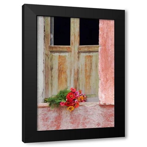 Mexico Zinnias outside window frame Black Modern Wood Framed Art Print by Rotenberg, Nancy